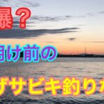 夜明け前の投げサビキ釣りなら秋爆？衣浦湾