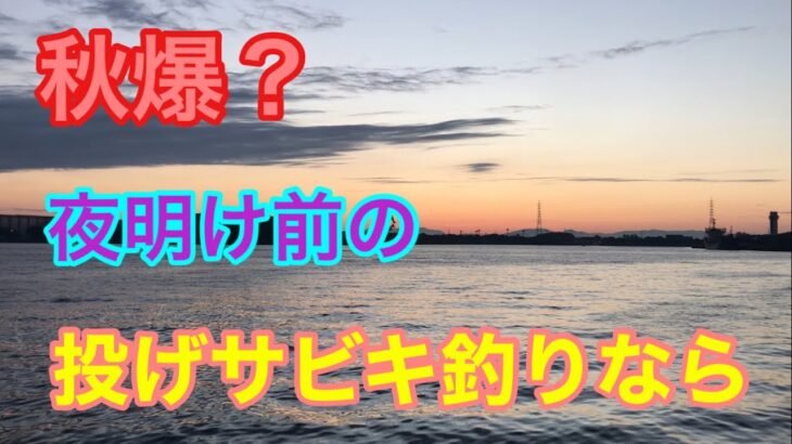 夜明け前の投げサビキ釣りなら秋爆？衣浦湾