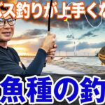 【他魚種の釣り】シーバス釣りが上手くなる他魚種の釣りを紹介！オヌマンの名作ルアー！オヌマンのシーバス塾