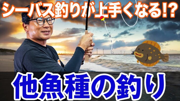 【他魚種の釣り】シーバス釣りが上手くなる他魚種の釣りを紹介！オヌマンの名作ルアー！オヌマンのシーバス塾