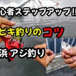 【海釣り初心者】アジ攻略！サビキ釣り‼ぶっこみトリック、ウキサビキで横浜のアジ釣り！