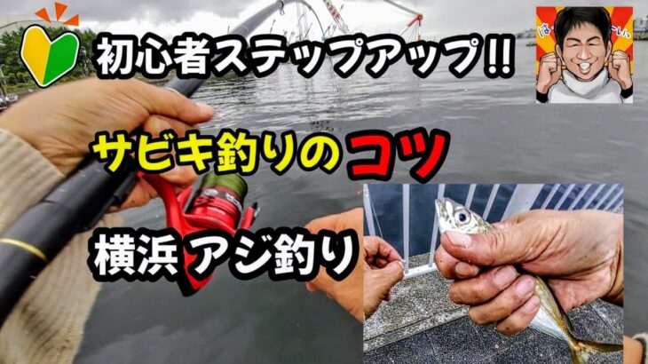 【海釣り初心者】アジ攻略！サビキ釣り‼ぶっこみトリック、ウキサビキで横浜のアジ釣り！