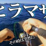 【ジギング】急げ！山陰沖へ！大型ヒラマサ釣れてます