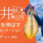 秋のアオリエギング 北陸エリア・福井県～アオリイカが着くポイント・エギのローテーション術を公開！～