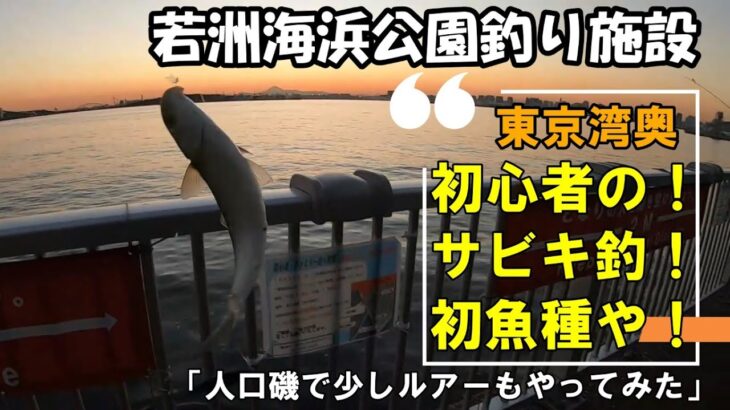 若洲海浜公園・サビキ釣りにハマりそうです(≧▽≦)