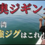 【伊勢湾奥】このジグさえあれば攻略できます！