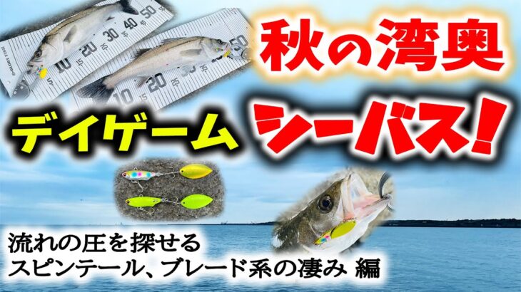 秋の湾奥デイゲームシーバス！ – 流れの圧を探せるスピンテール、ブレード系ルアーの凄み – 若洲海浜公園 人工磯