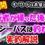 【大公開】先行者が帰った後でもシーバスが釣れる！実釣で解説。キーワードは表層とボトムです