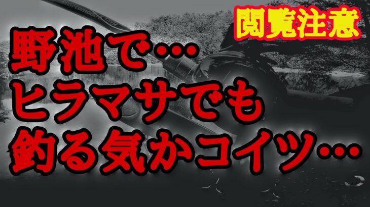 【バス釣り】コイツ…野池のブラックバスをヒラマサと勘違いしとるは…ここは海じゃねぇから…