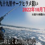 あの魚が接岸しましたが…【九十九里サーフヒラメ狙い】