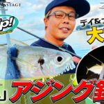 【大爆釣】デイ＆ナイト「陸っぱりアジング釣行」