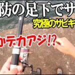 沖堤防の足下に究極のサビキを垂らしてアジを狙ってみた！まさかの魚種が連発！出るかデカアジ！？