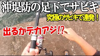 沖堤防の足下に究極のサビキを垂らしてアジを狙ってみた！まさかの魚種が連発！出るかデカアジ！？