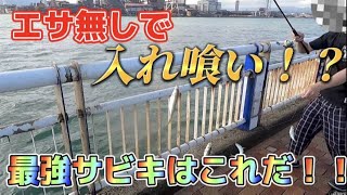 【サビキ釣り】１番釣れるサビキ仕掛はコレだ⁉もう最強です