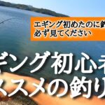 【エギング】初心者必見！秋のアオリイカを簡単に数釣りできるオススメの釣り方。このシャクリ方とあるものを使うだけ