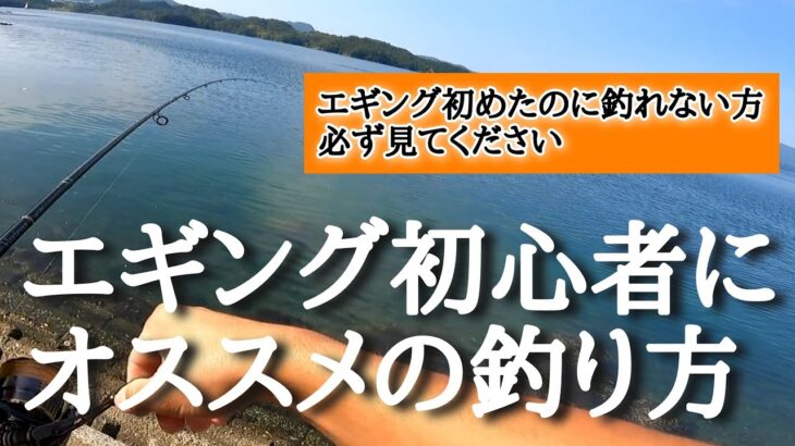 【エギング】初心者必見！秋のアオリイカを簡単に数釣りできるオススメの釣り方。このシャクリ方とあるものを使うだけ