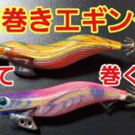 【エギング】ただ巻きエギング沈めて巻くだけ🎣