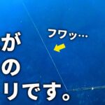 緩むアタリ、引っ張るアタリ。超分かりやすいエギングの「イカのアタリ」解説。