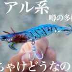 【前代未聞】魚とイカが同時に狙えると噂の新製品エギ実釣力検証！