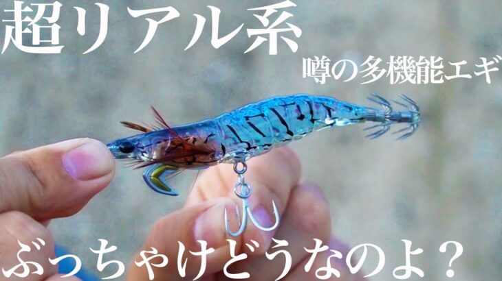 【前代未聞】魚とイカが同時に狙えると噂の新製品エギ実釣力検証！