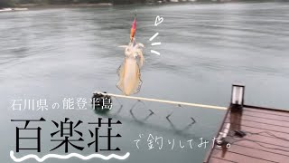 【イカ釣り】石川県　百楽荘 プライベート釣り場で釣り三昧な１日