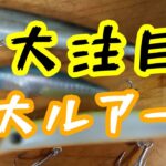 【最新ルアー購入】秋のハイシーズンに活躍間違いなしの注目シーバスルアー。