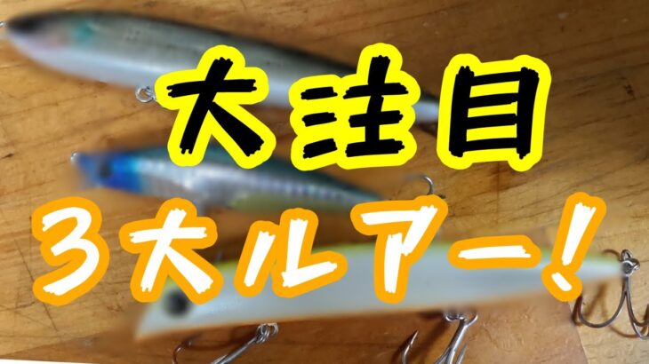 【最新ルアー購入】秋のハイシーズンに活躍間違いなしの注目シーバスルアー。