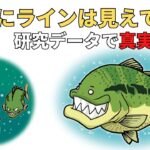 【バス釣り】ブラックバスにラインは見えている？最強のラインの色と太さと選び方