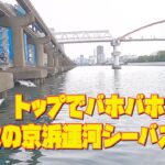 トップでバホバホ❗️秋の京浜運河シーバス釣り