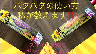 【エギング】パタパタの使い方！教えます！これで貴方もボウズなし！　＃エギング　＃アオリイカ　＃池内修次