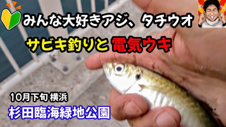 みんな大好きアジ、太刀魚！サビキ釣りと電気ウキ。首海釣り初心者にもチャンス。横浜の釣りです。