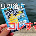 【アジング】ド定番ワーム、掛からない直後にこの小技で釣果に差がつけれます。