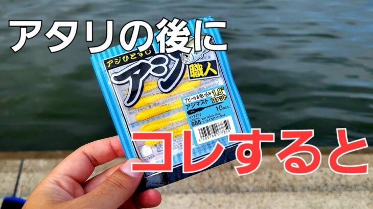 【アジング】ド定番ワーム、掛からない直後にこの小技で釣果に差がつけれます。