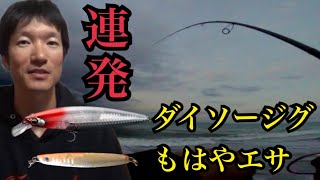 激熱の状況！遠州灘サーフでルアー釣り🔥