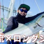 明石海峡ジギング激流アタック！