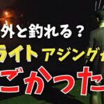 【アジング】明るい常夜灯はもう古い？ローライトでもアジは釣れる？初めての場所で釣りしたらすごかった！