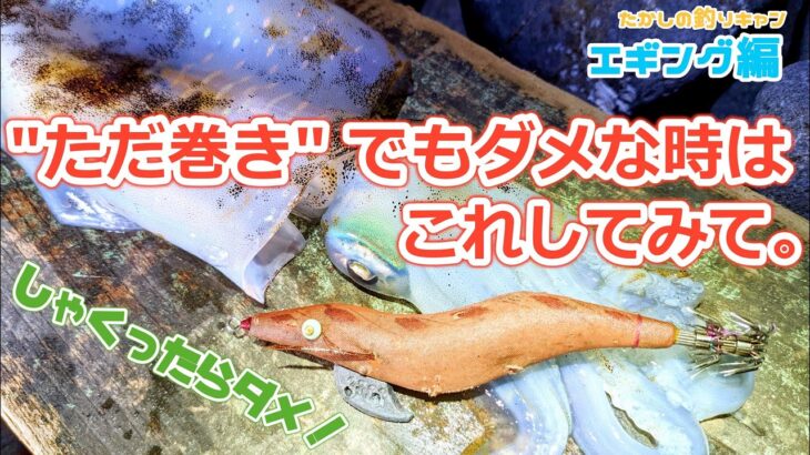 エギング編 “しゃくり” でも “ただ巻き” でもダメな時はこう攻めろ！渋い時の攻略！