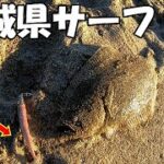 【茨城県サーフ】編集員が参戦！北茨城のヒラメを狙う！