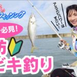 ビギナー必見！堤防サビキ釣り入門「阪本智子のエンジョイフィッシング」