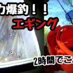 【函館イカ釣り】仕事帰りに、エギングで入れ食いにあいました！！