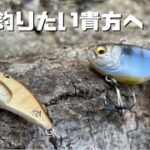 【バス釣り】秋に釣れない・巻物ルアーで釣れない。このルアーを使ってみて下さい。簡単に爆釣することができます。【メガバス】【レイドジャパン】【バイブレーション】【メタルバイブレーション】