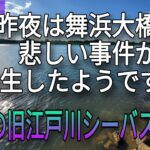 今日の旧江戸川シーバス情報！穏やかな朝でした。