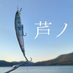 【バス釣り】始まりの土地芦ノ湖でブラックバスを釣りたいんです！！