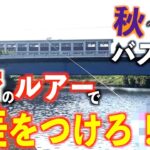 めちゃ飛ぶ！大遠投！釣れるルアーはこれ！(バス釣り・大江川)