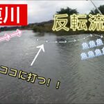 [相模川]秋のバス釣り　反転流を狙え！