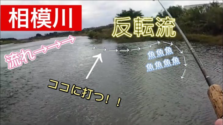 [相模川]秋のバス釣り　反転流を狙え！