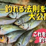 瀬戸内ジグ単アジング！釣れる法則を公開します！これを見ればアジ釣れます！！