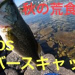 【バス釣り】カバースキャットの集魚力❗️ 琵琶湖　南湖