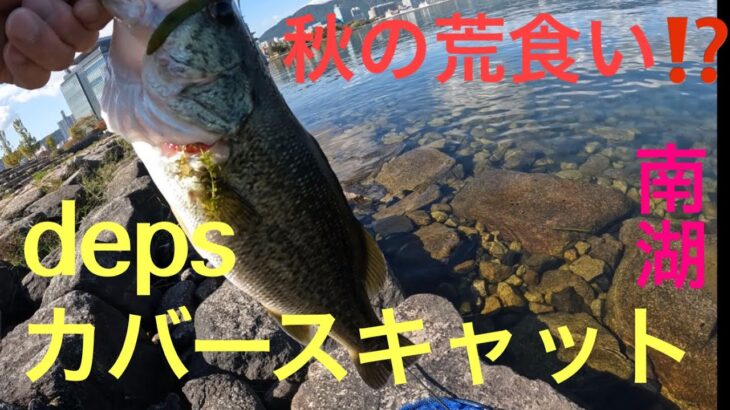 【バス釣り】カバースキャットの集魚力❗️ 琵琶湖　南湖