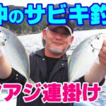 湾内だけぢゃない！沖のサビキ釣りと一本釣り